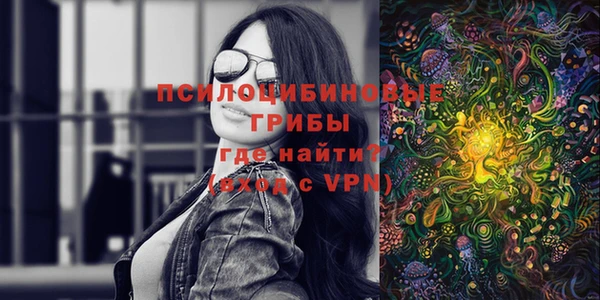 не бодяженный Абаза