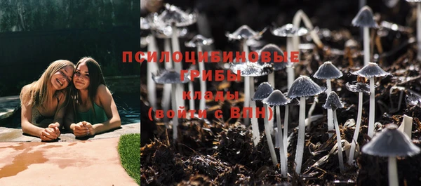 эйфоретик Абинск