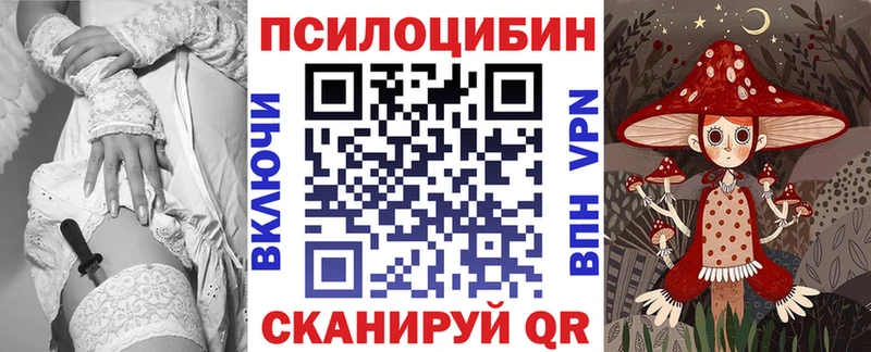 МЕГА как войти  Дегтярск  Галлюциногенные грибы Psilocybine cubensis  продажа наркотиков 